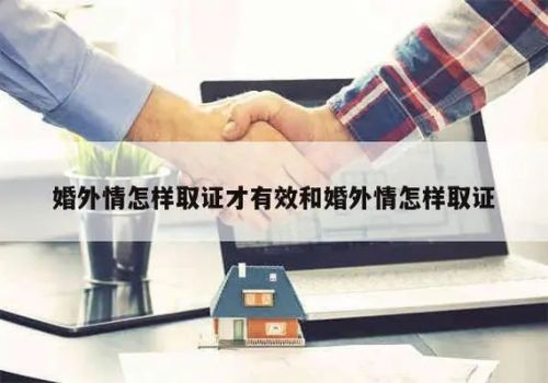 两人没有共同财产离婚怎么办